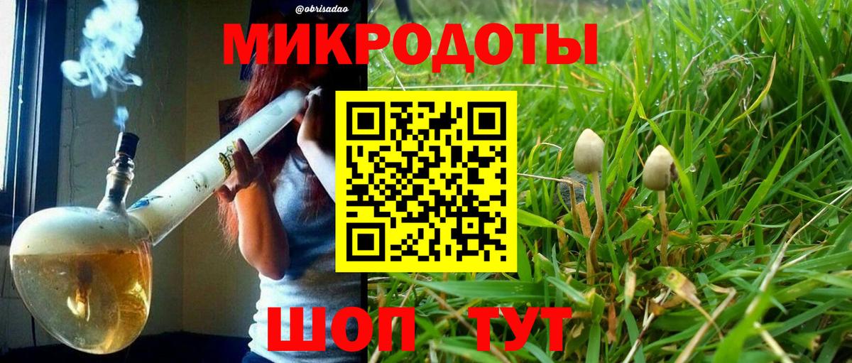 Галлюциногенные грибы Magic Shrooms  закладки  Димитровград  Вход с VPN  Псилоцибиновые грибы Magic Shrooms 
